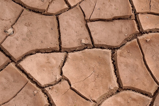 Estudo aponta que mudanças climáticas e El Niño potencializaram a intensificação rápida de furacão no México