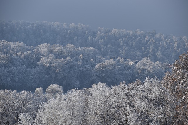Frente fria promete temperaturas próximas de 2°C no Sul e queda acentuada no Sudeste; ciclone traz previsão de ventos intensos